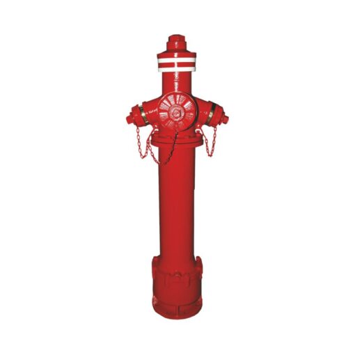 YT001-070 Hidrant Suprateran DN80/DN100 – 2 Racorduri Storz Tip B, Corp Inox, Anti-Inundație